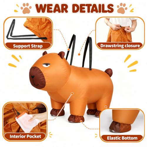 Lightweight Polyester Fabric