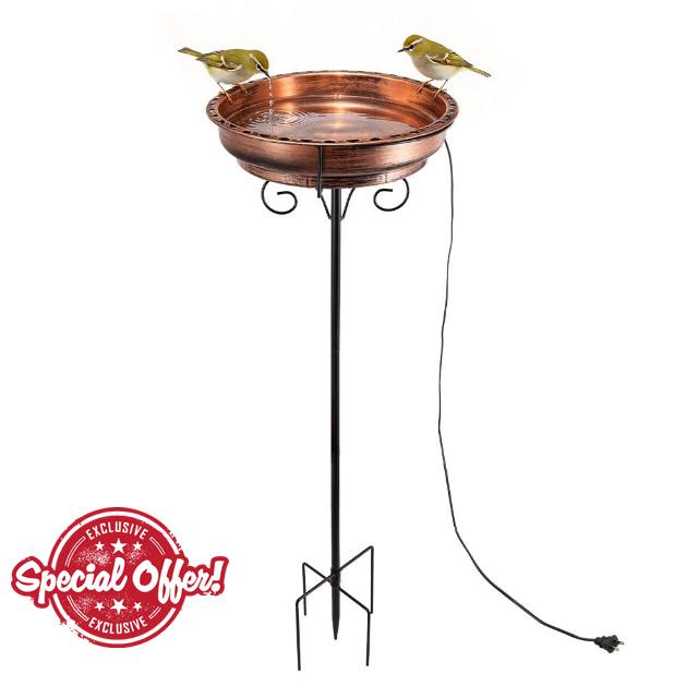 Heated Bird Baths for Outdoors