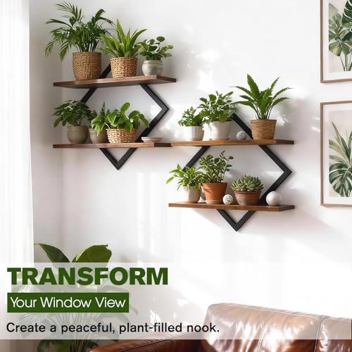 For Small Plants