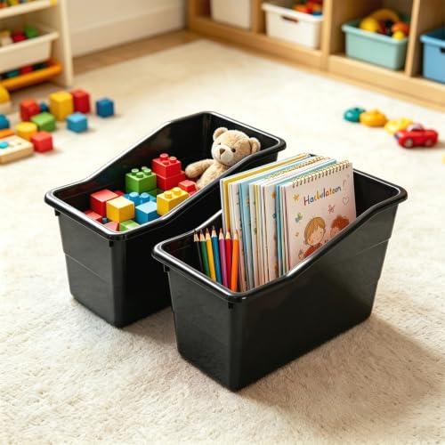 School Organization