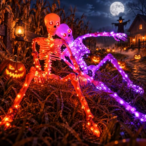 Indoor Halloween Decor for Yard