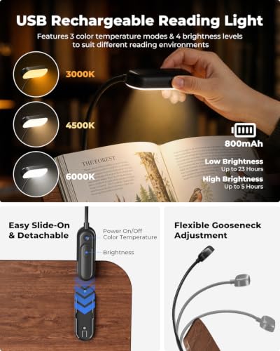 Book Lover Essential