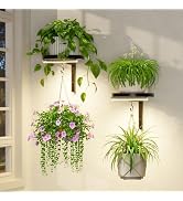 LASZOLA Plant Stand Shelf Tall for Indoor Corner with Lights, 5 Tier Brown | Modern Multiple Flow...