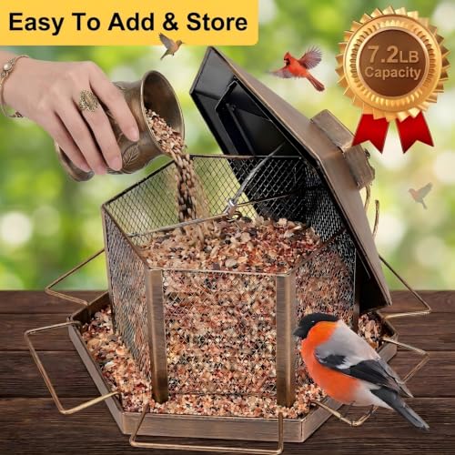 for backyard garden patio