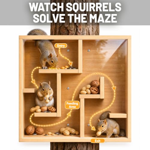 Wooden Squirrel Box with Large Viewing Window
