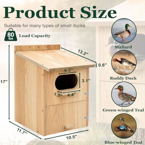 for Backyard Ponds