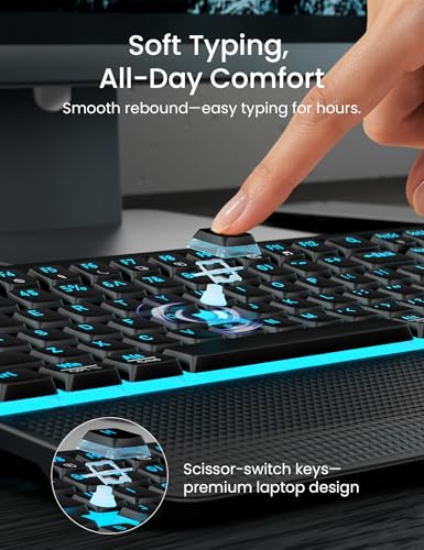 Full Size Layout