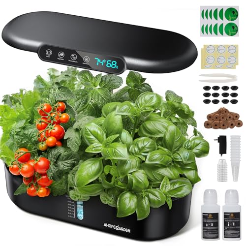 Lettuce and More - Easy Growing for Beginners