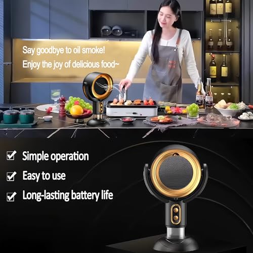 Compact Air Cleaner for Kitchen Cooking