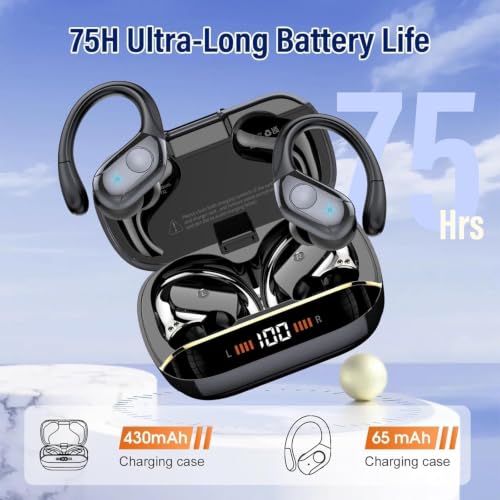 Black Over Ear Buds with Earhooks