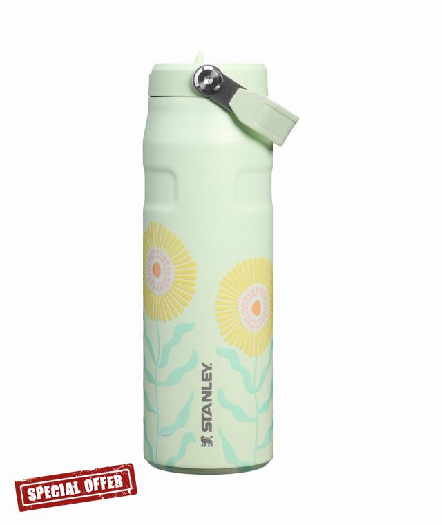 STANLEY IceFlow Flip Straw 2.0 Bottle