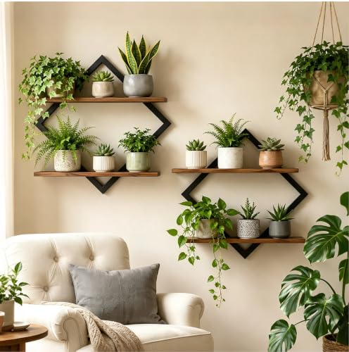 Brown For Indoor Plants