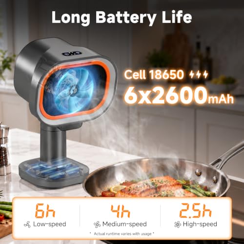 with 10 carbon filters. Great for indoor BBQ