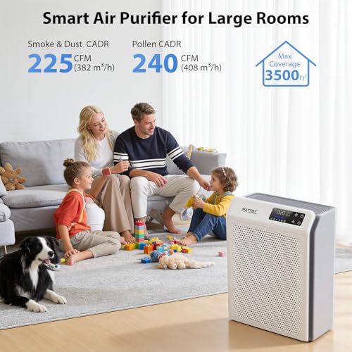 Smart APP Control HEPA Air Purifier with AQI Display