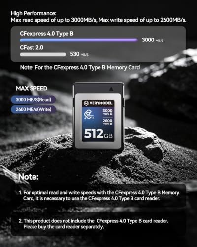 Panasonic S1/S1R