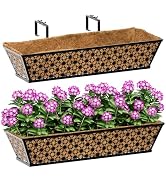 SPECILITE Landscape Edging 4 in x 40 FT, Flexible No-Dig Garden Border with 60 Galvanized Steel S...