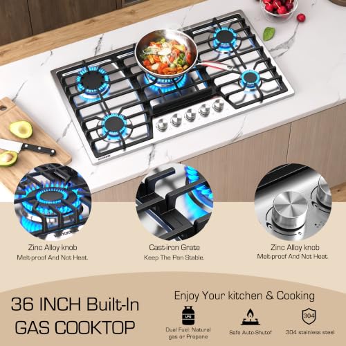 NG/LPG Convertible Built-In Stainless Steel