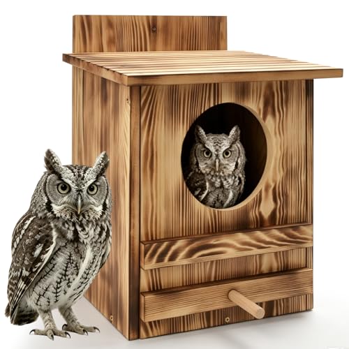 Carbonized Screech Owl Box with Bird Stand