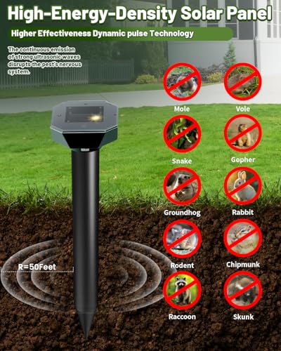 IP65 Waterproof