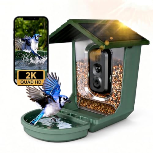 2.4Ghz/5Ghz Dual WiFi Bird Camera