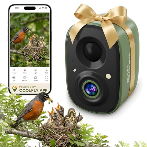 Free AI Bird ID