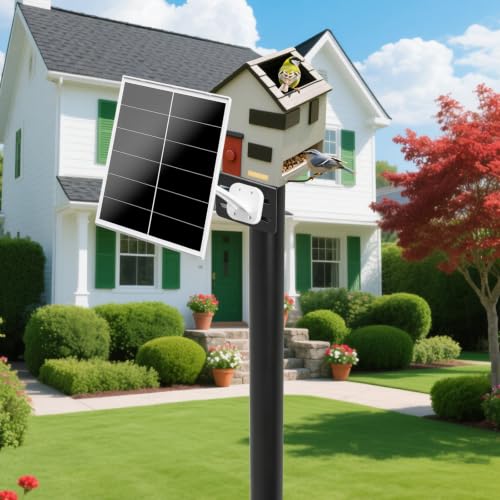 Heavy-Duty Bird House Pole