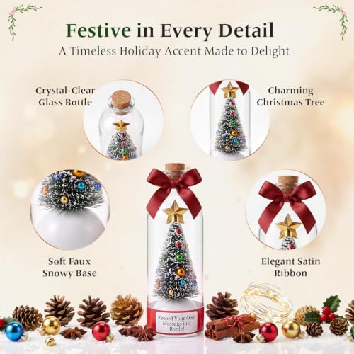 Christmas Keepsake Ornament for Gifting and Family Christmas Parties (3Pack)