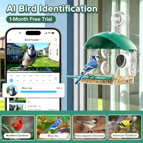 Support 2.4G/5G WIFI