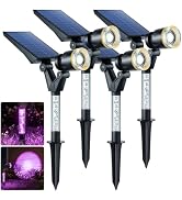 DenicMic Solar Spot Lights Outdoor Waterproof Warm Lens LED 4 Pack | Adjustable Angle Long Range ...