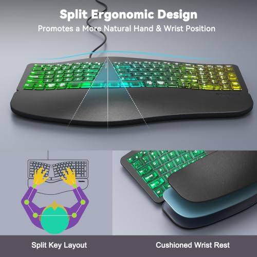 compatible with Windows