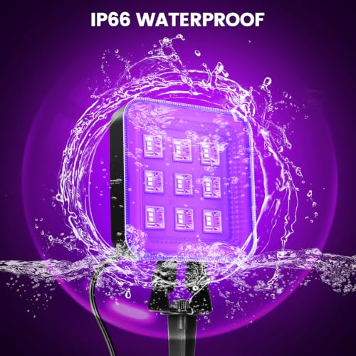 Fluorescent Poster