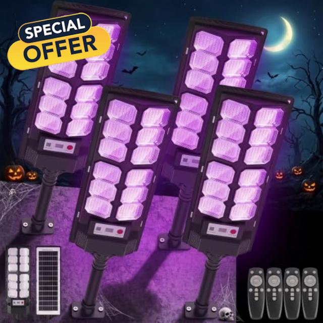 4-Pack Solar Black Lights