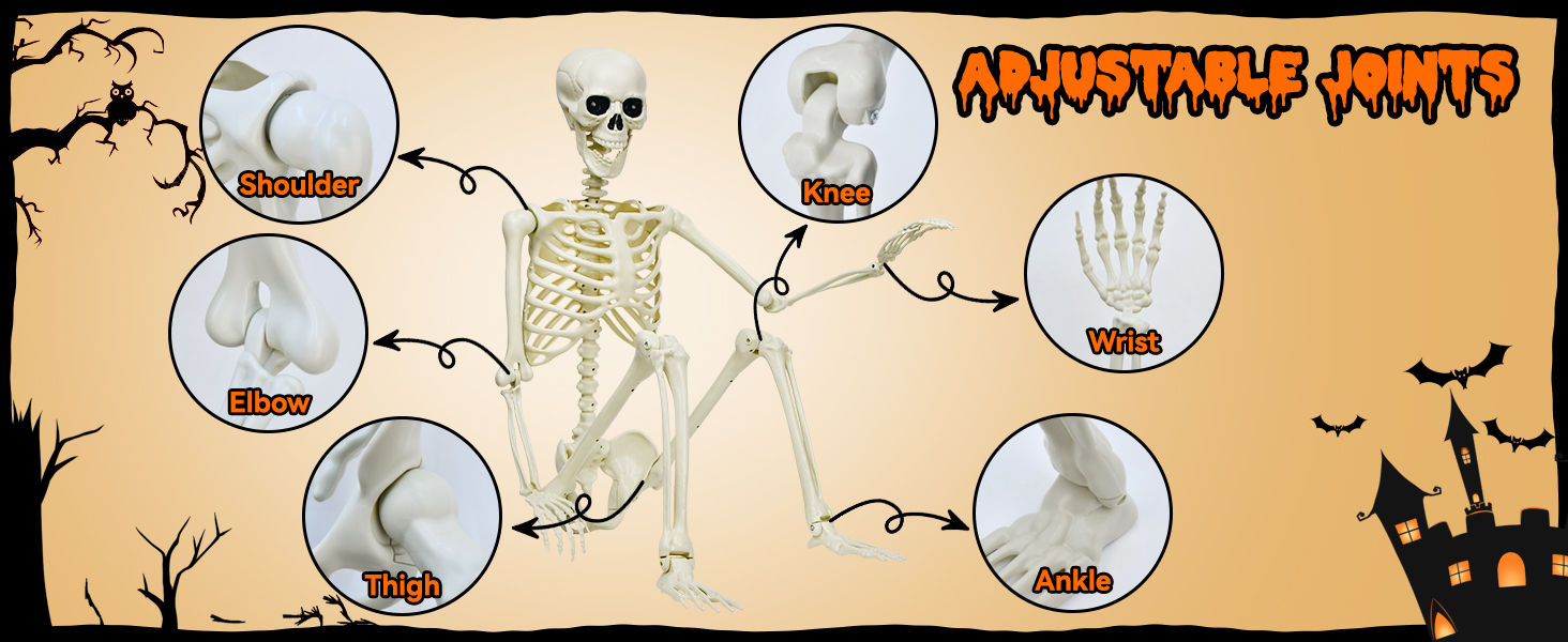 Halloween Skeleton