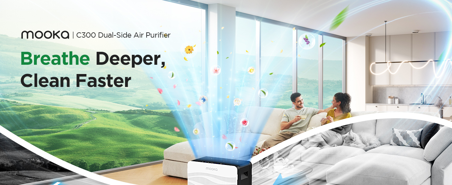 air purifier C300