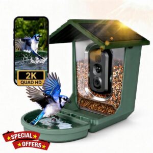 Bird Feeder with Camera Solar Powerd