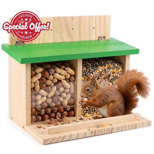 Squirrel Feeder