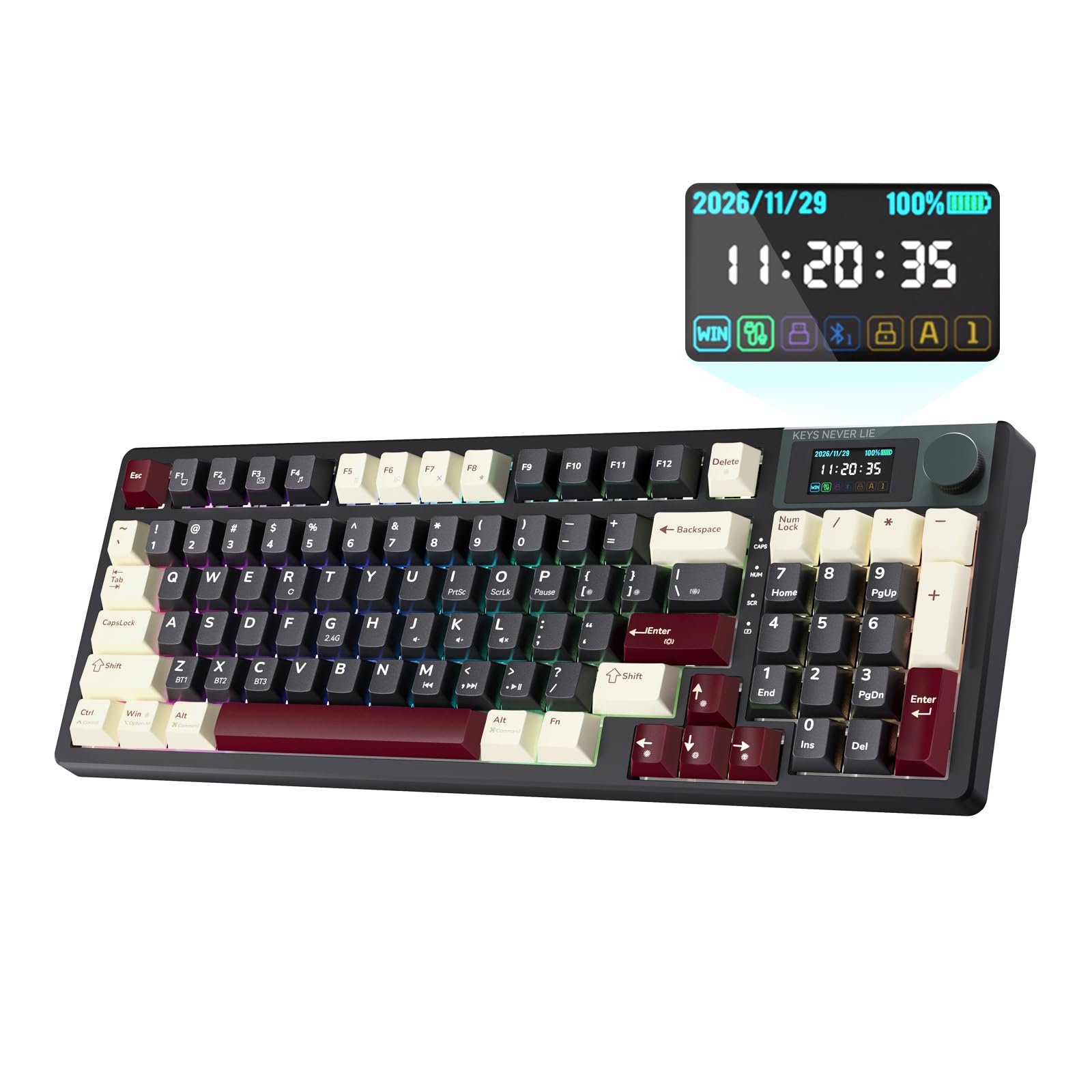 South-Facing RGB for Gaming & Work