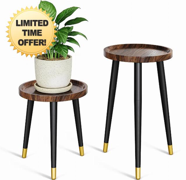 Plant Stand Indoor 2 Pack