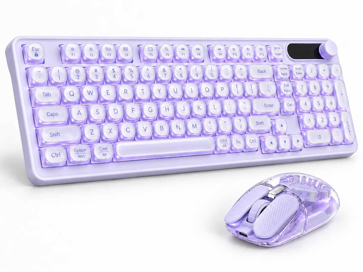 COE303 Pro.