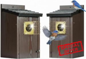 2 Pack Bluebird Houses for Outside