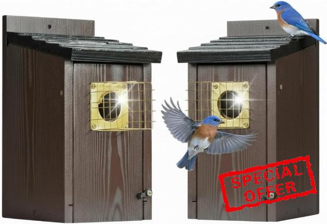 2 Pack Bluebird Houses for Outside