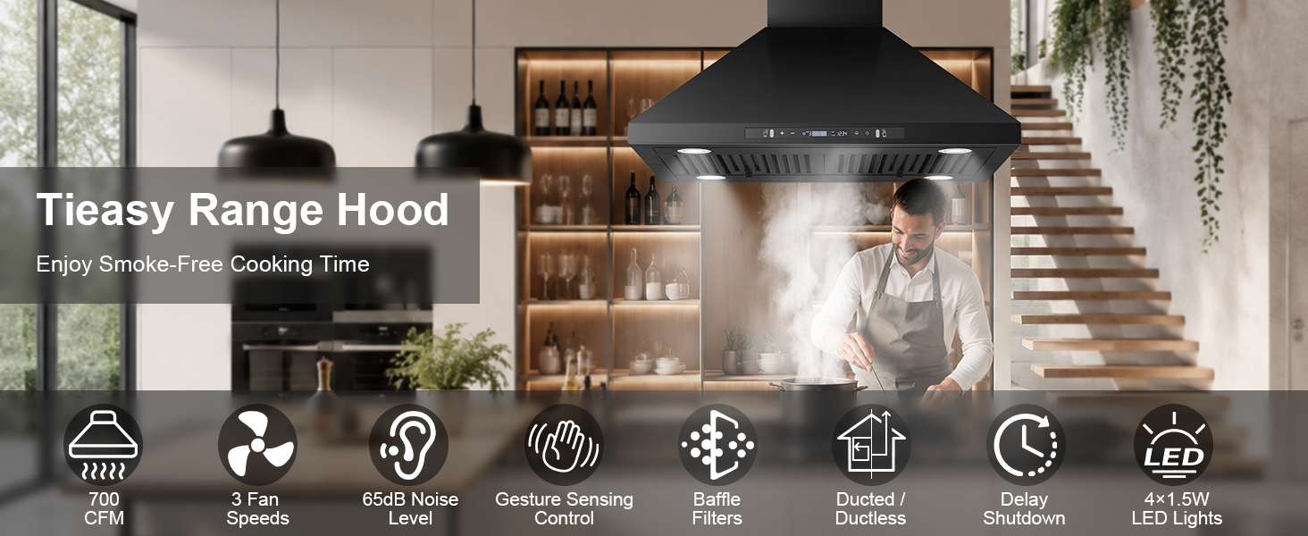 30 inch Island Range Hood