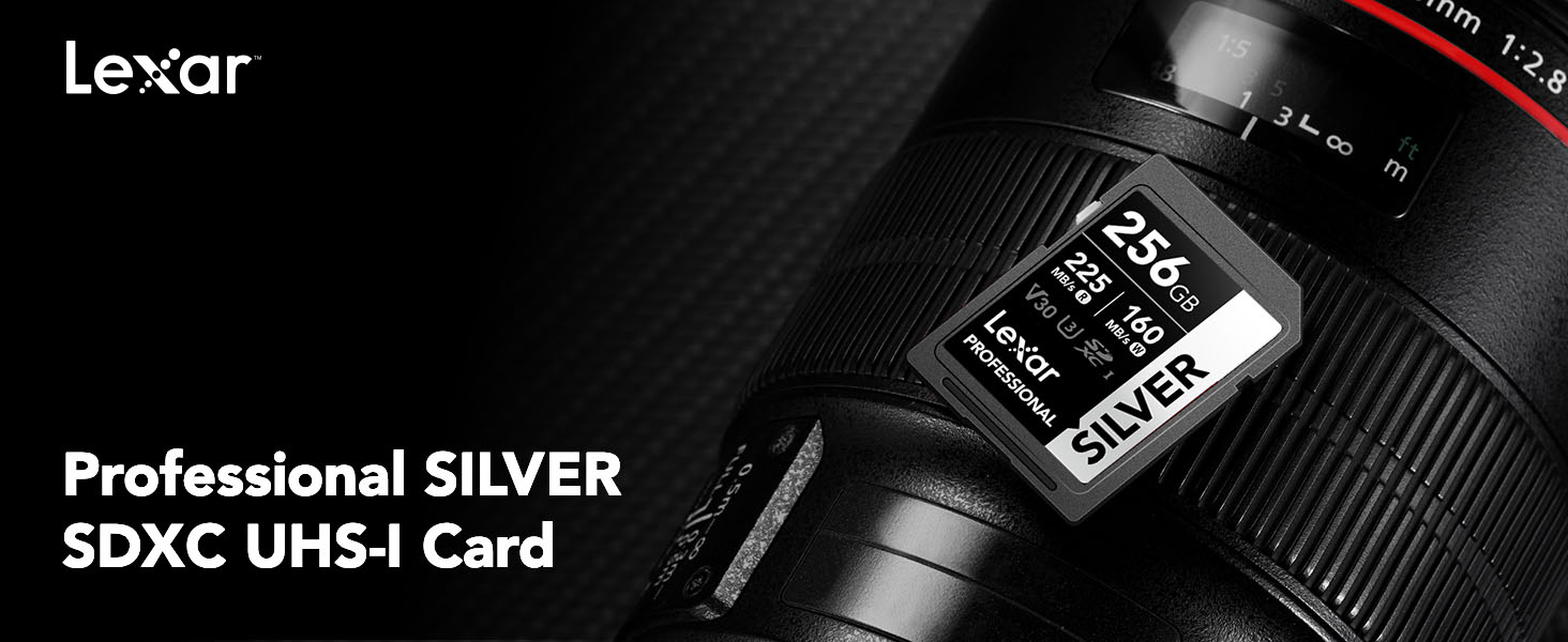 Lexar Professional SILVER SDXC Card