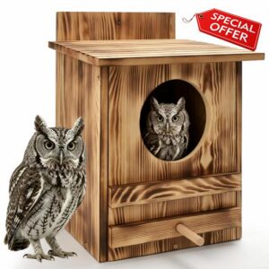 Large Owl House for Outside