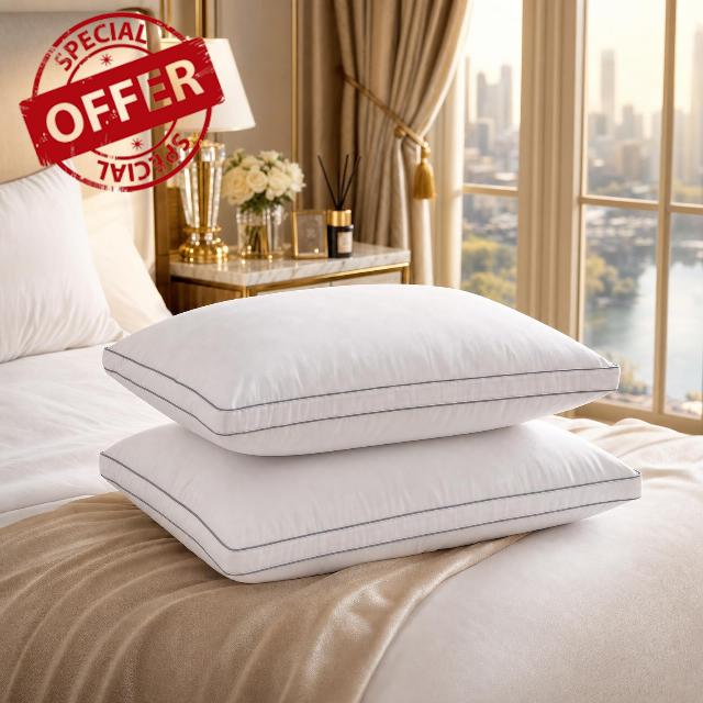Goose Down Pillows Set of 2