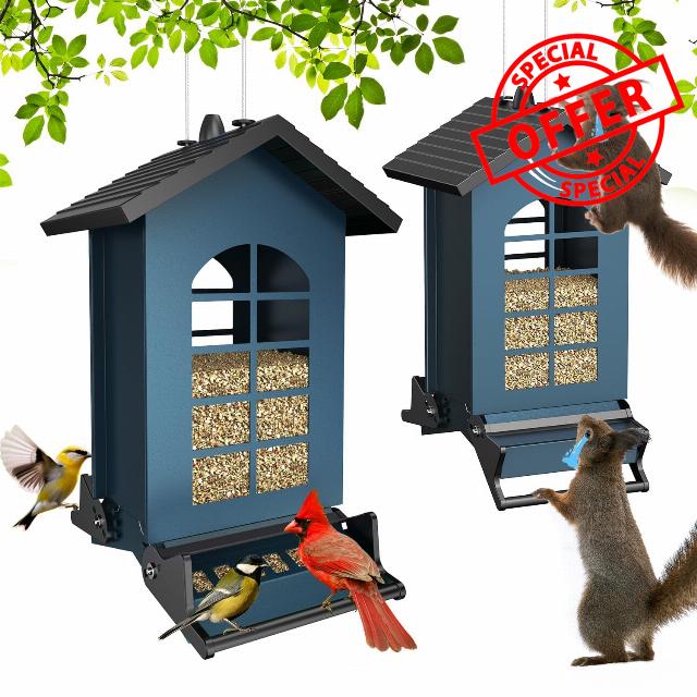 Squirrel Proof Bird Feeder