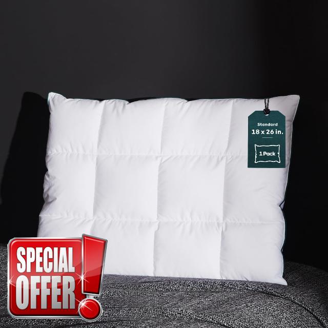 Three Geese Ultra Thin Flat Goose Down Feather Pillows for Sleeping Standard Size