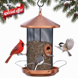 Large Bird Feeder for Outdoors