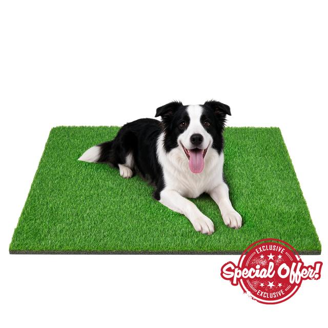 Artificial Grass Indoor Outdoor