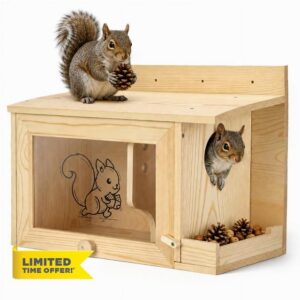 Squirrel House for Outside